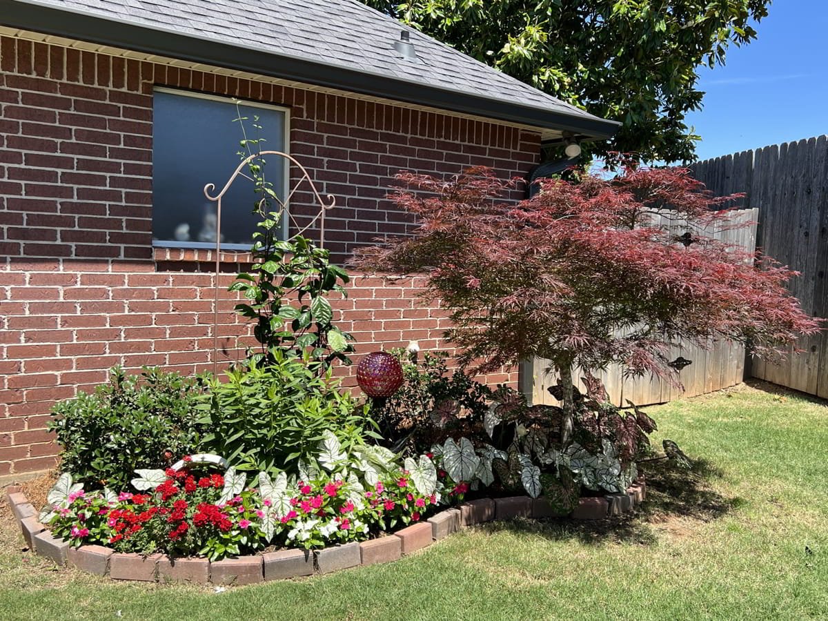 Gardening Tips For Beginners